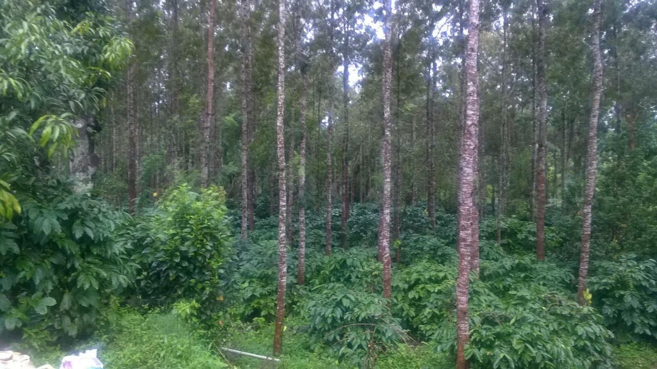 Rai Cottage @ Coorg ,Suntikoppa Exterior foto
